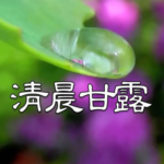 《清晨甘露》有声灵修